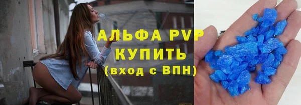 СК Зерноград
