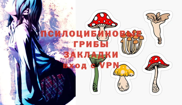 a pvp Зеленокумск