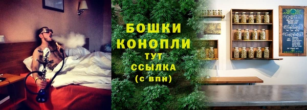 СК Зерноград
