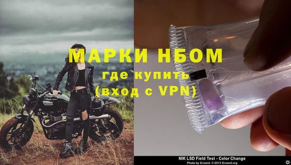 СК Зерноград