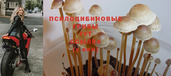 дживик Зеленодольск