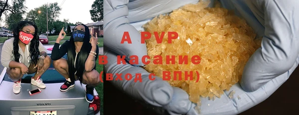 СК Зерноград