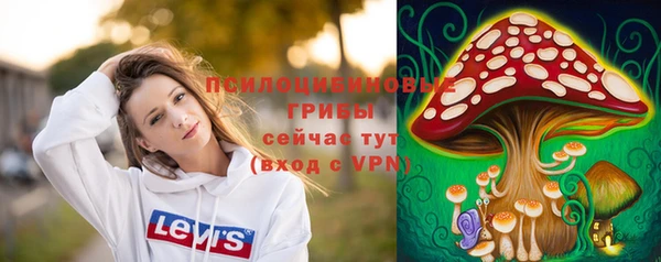 дживик Зеленодольск