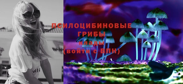 СК Зерноград